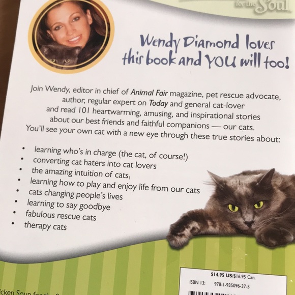 2/$10 Chicken Soup For The Soul | What I Learned From the Cat | 101 Stories - Picture 4 of 10